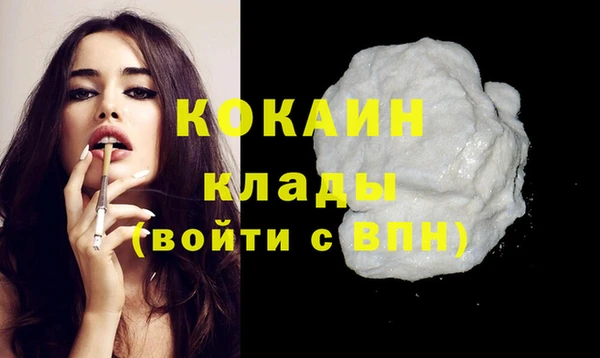 амф Няндома
