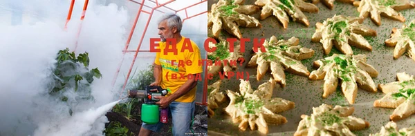 амф Няндома