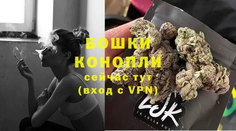 сколько стоит  Зея  Бошки Шишки White Widow 