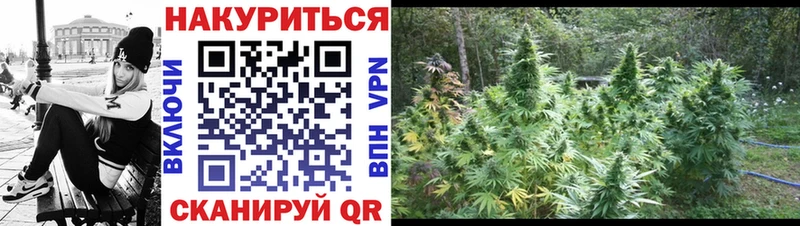 Шишки марихуана индика  Зея 